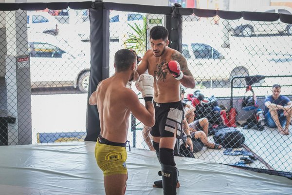 Key components for developing a winning nutrition plan for vegan athletes